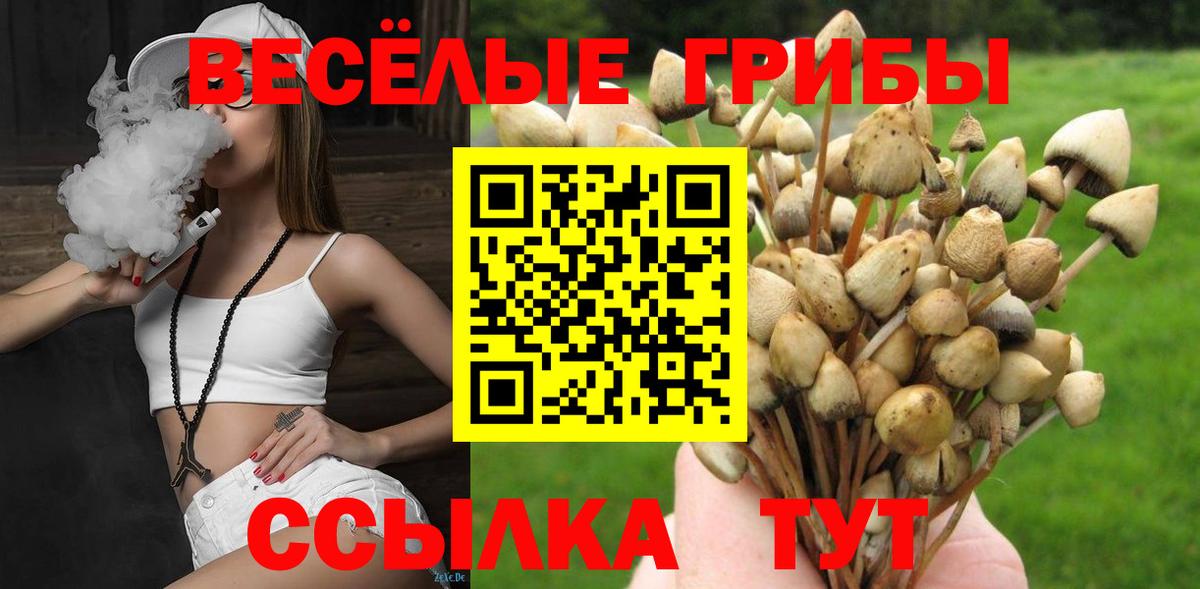 Галлюциногенные грибы Psilocybine cubensis Красноуфимск