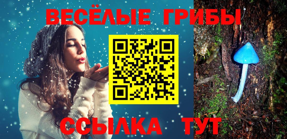Галлюциногенные грибы прущие грибы  Вход с VPN  Красноуфимск 